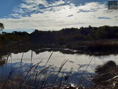 �� piccolo angolo di natura lussureggiante - continua l'esperta -. Del resto siamo all'interno di una "zona umida", cio� un ambiente con compresenza di terreno e acqua�